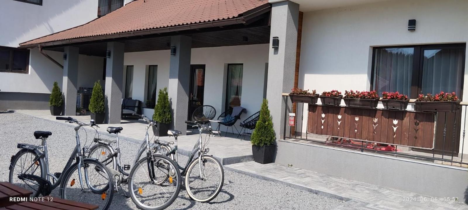 Constantin Panzio Bed & Breakfast Praid Ngoại thất bức ảnh